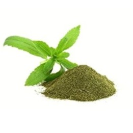 Ayurnutri Tulasi Churnam 100g